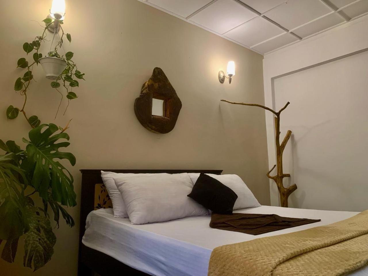 Ella Gypsies Hostel Экстерьер фото